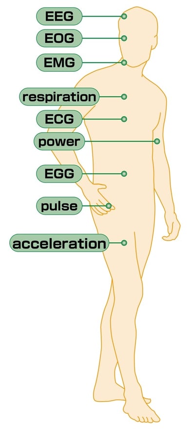 anatomy8E